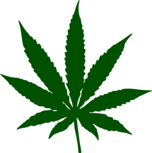 weed leaf that doesnt look real